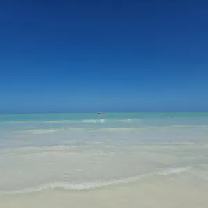 Luna Y Sol Glamping , Isla Holbox Mexico